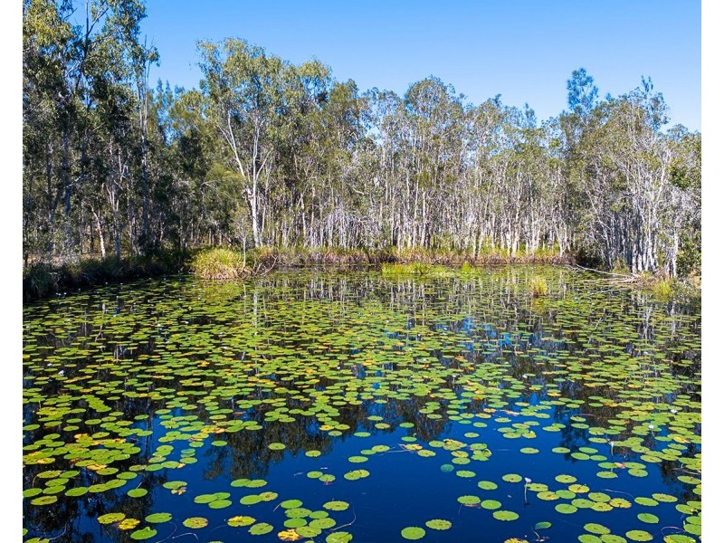 2051 Round Hill Road, Round Hill, Agnes Water QLD 4677