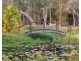159 Allingham Way, Agnes Water QLD 4677