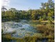 Captain Creek QLD 4677