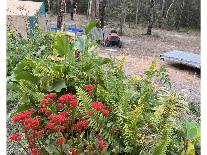 1284 Tableland Road, Mount Maria QLD 4674