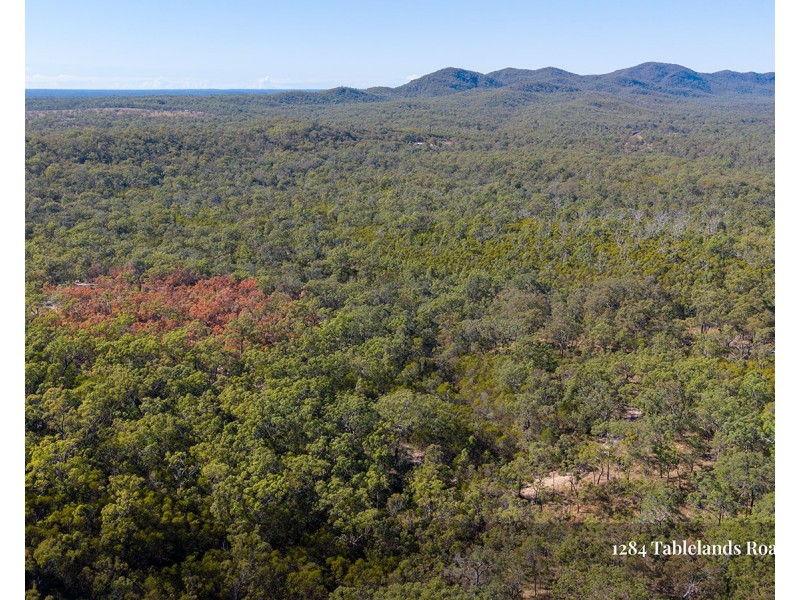 1284 Tableland Road, Mount Maria QLD 4674