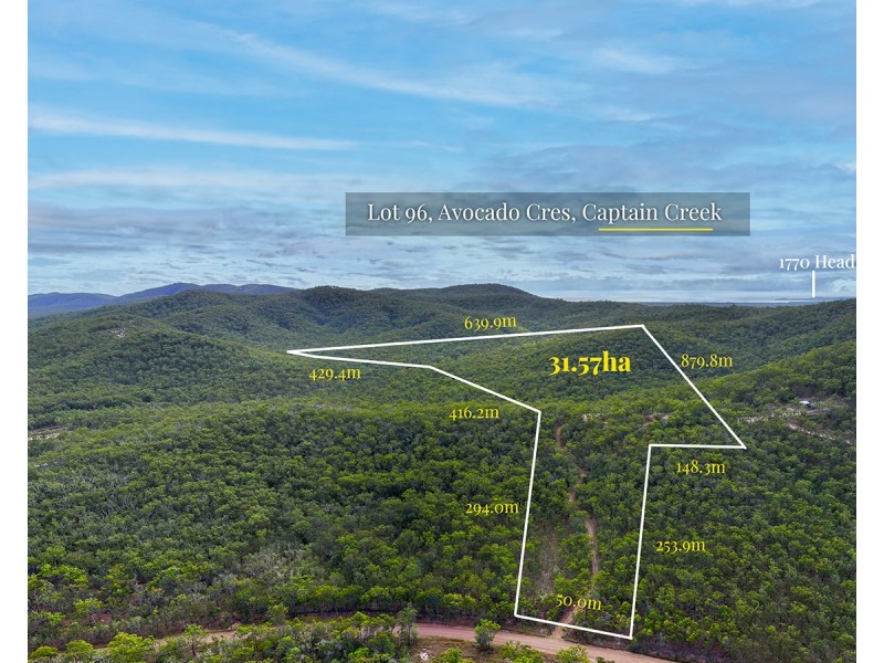 Lot 96 Avocado Crescent, Captain Creek QLD 4677