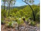 Lot 96 Avocado Crescent, Captain Creek QLD 4677