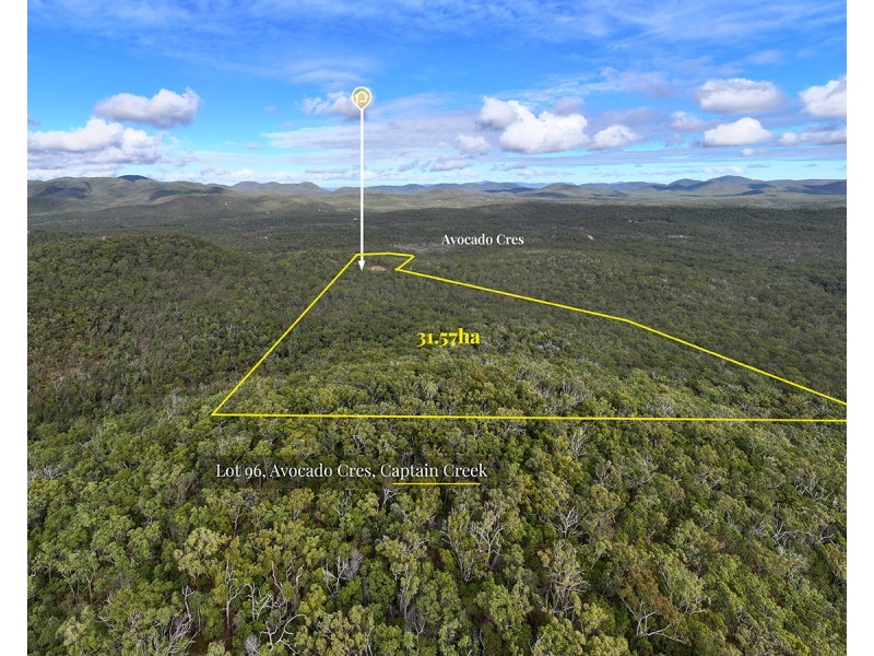 Lot 96 Avocado Crescent, Captain Creek QLD 4677