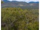 Lot 96 Avocado Crescent, Captain Creek QLD 4677