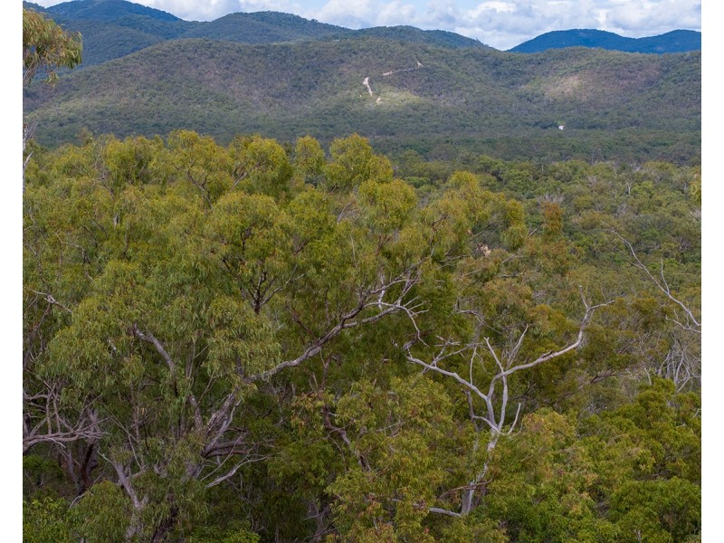Lot 96 Avocado Crescent, Captain Creek QLD 4677