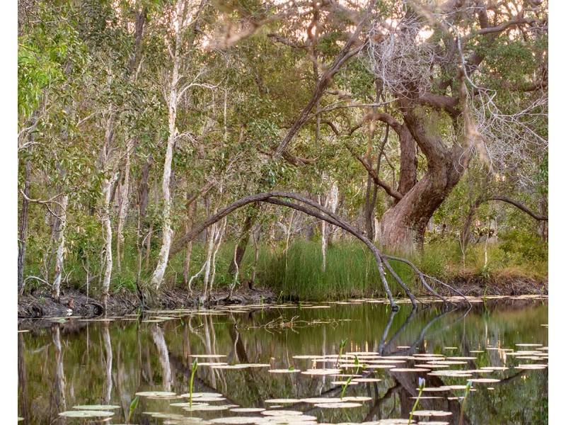 2432 Round Hill Road, Agnes Water QLD 4677
