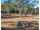 619 Murphy Road, Captain Creek QLD 4677