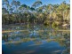 619 Murphy Road, Captain Creek QLD 4677