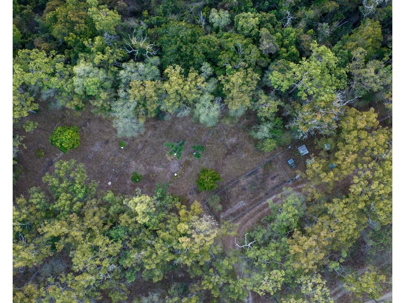 619 Murphy Road, Captain Creek QLD 4677