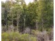 Lot 21 Baldaw Road, Captain Creek QLD 4677