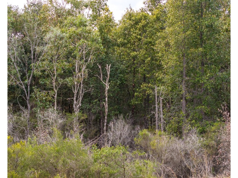Lot 21 Baldaw Road, Captain Creek QLD 4677