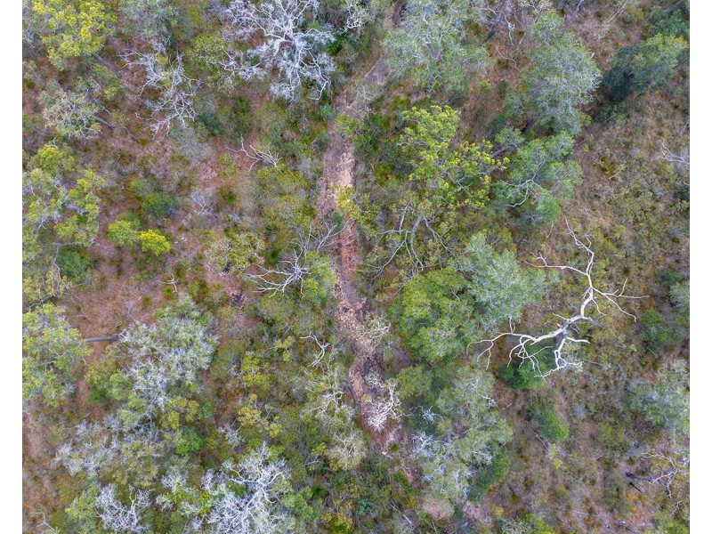 Lot 21 Baldaw Road, Captain Creek QLD 4677