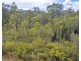 Lot 21 Baldaw Road, Captain Creek QLD 4677
