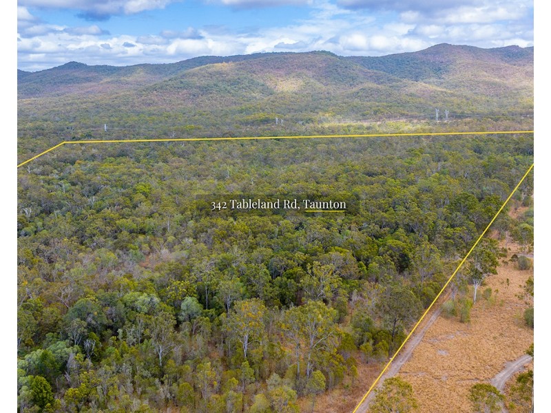 342 Tableland Road, Taunton QLD 4674