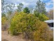 342 Tableland Road, Taunton QLD 4674