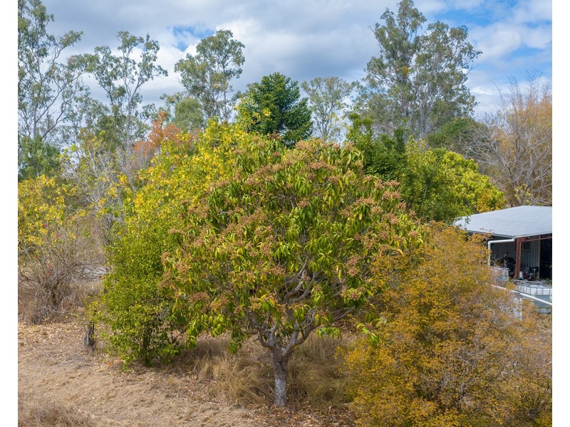 342 Tableland Road, Taunton QLD 4674