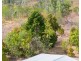 342 Tableland Road, Taunton QLD 4674