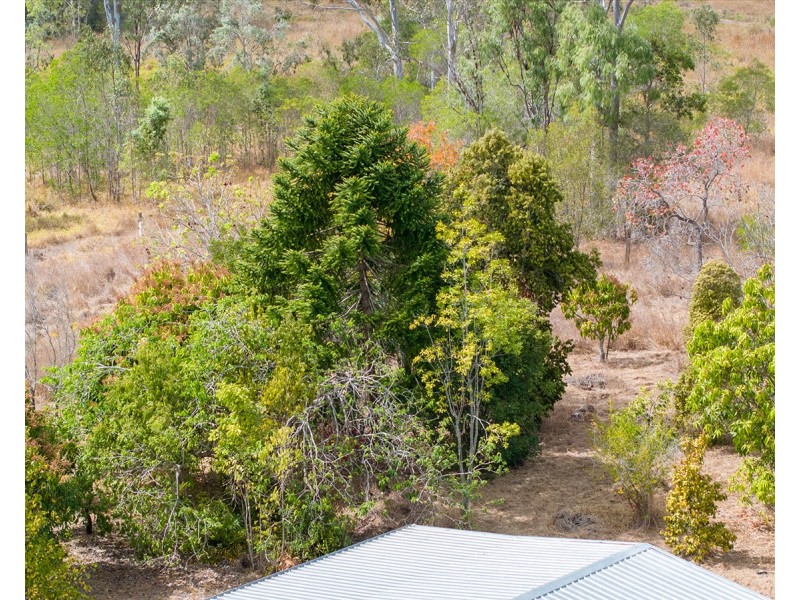 342 Tableland Road, Taunton QLD 4674