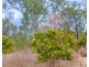 342 Tableland Road, Taunton QLD 4674