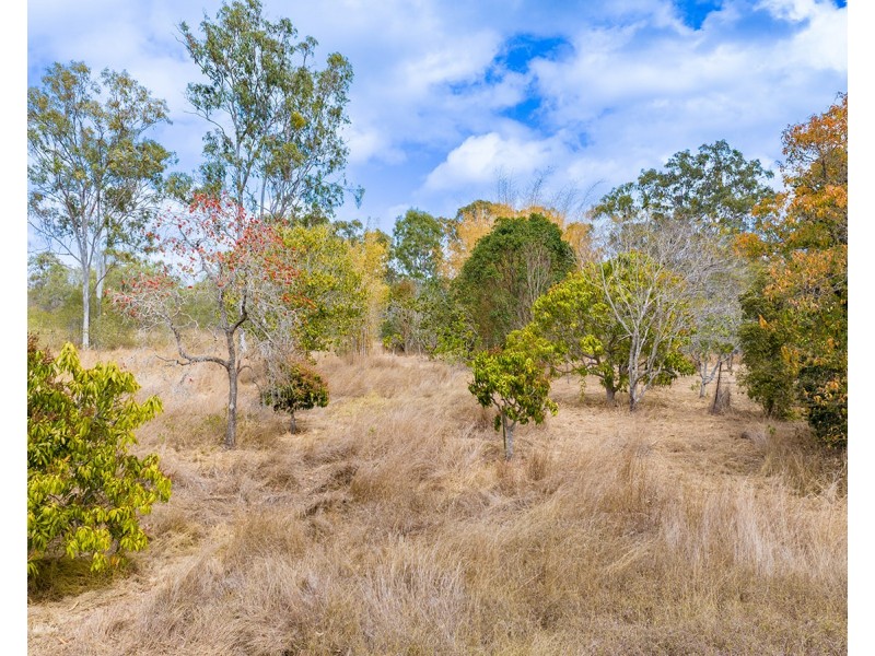 342 Tableland Road, Taunton QLD 4674
