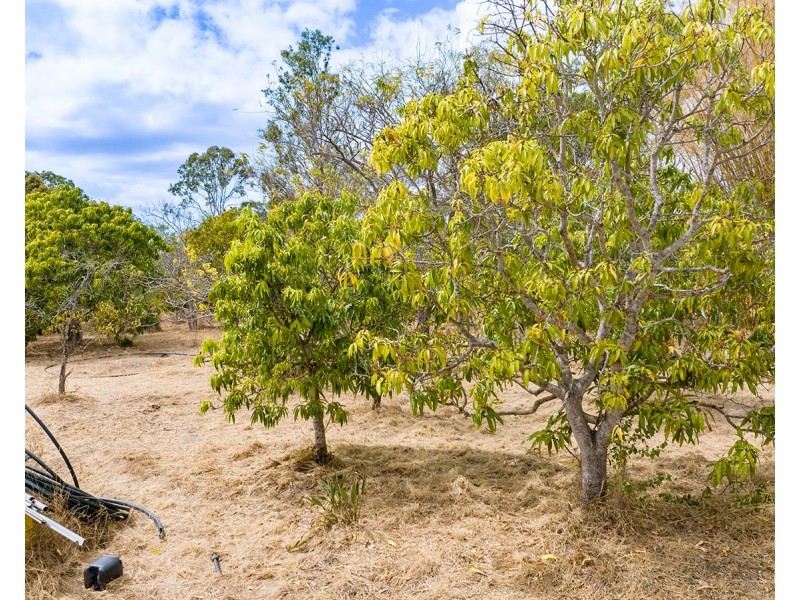 342 Tableland Road, Taunton QLD 4674