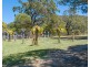 137 Josefski Road, Agnes Water QLD 4677