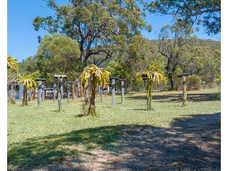 137 Josefski Road, Agnes Water QLD 4677
