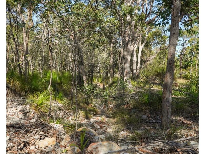 40 Jobson Road, Agnes Water QLD 4677