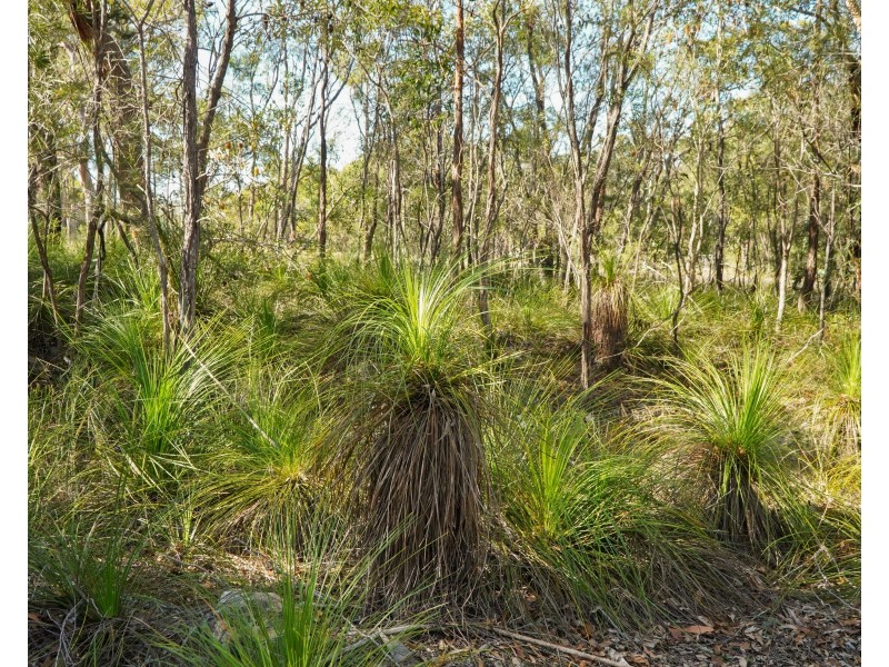 40 Jobson Road, Agnes Water QLD 4677
