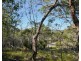 40 Jobson Road, Agnes Water QLD 4677