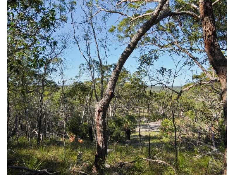 40 Jobson Road, Agnes Water QLD 4677