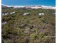 39 Bloodwood Avenue South, Agnes Water QLD 4677