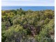 39 Bloodwood Avenue South, Agnes Water QLD 4677