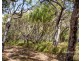 39 Bloodwood Avenue South, Agnes Water QLD 4677