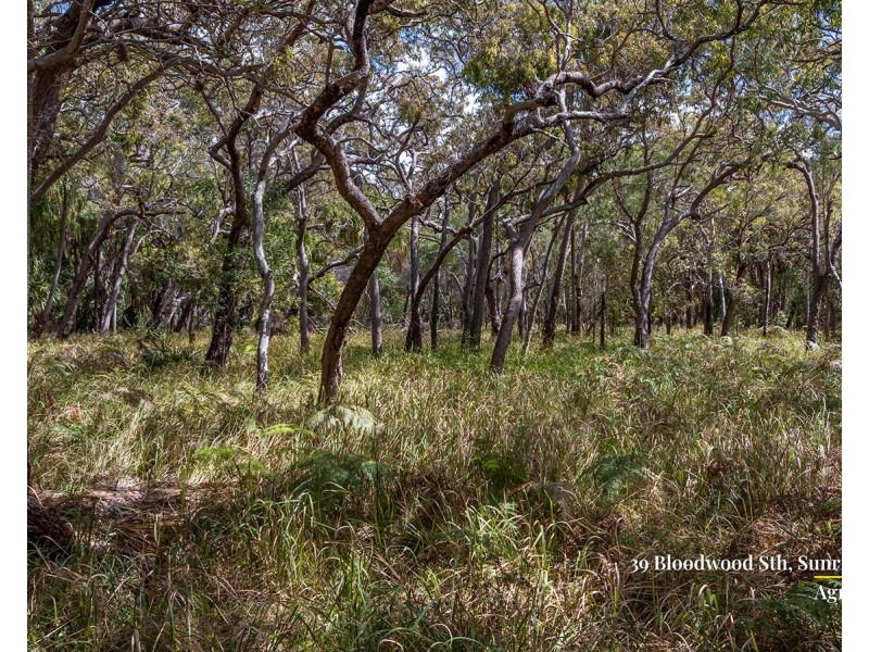 39 Bloodwood Avenue South, Agnes Water QLD 4677