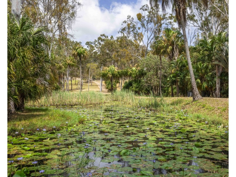 183 Rafting Ground Road, Agnes Water QLD 4677