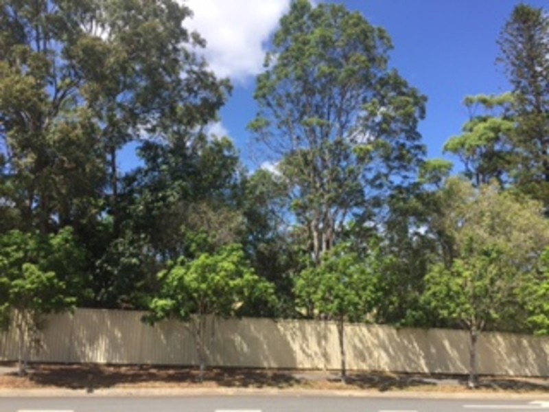 1/84 Billinghurst Crescent, Upper Coomera QLD 4209