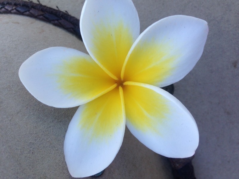 1111/30-36 BURRA Street, Chevron Island QLD 4217