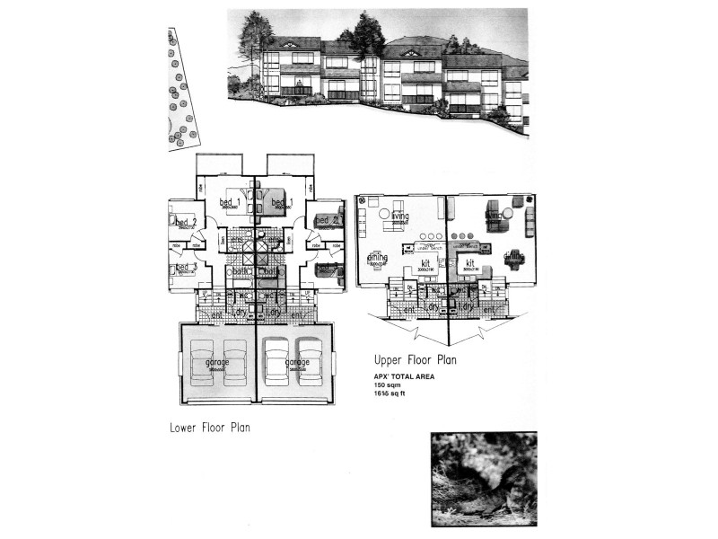 3020/6 Crestridge Crescent, Oxenford QLD 4210 Floorplan