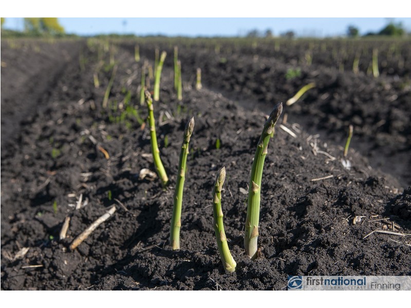 220 Peers Road, Dalmore VIC 3981