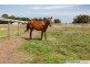 60 Fincks Road, Bayles VIC 3981