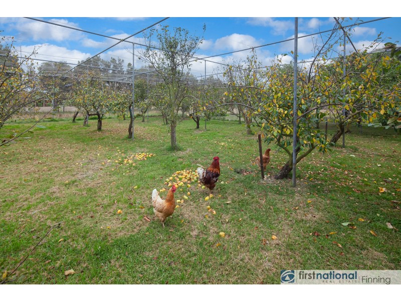 1010 Koo Wee Rup – Longwarry Road, Catani VIC 3981