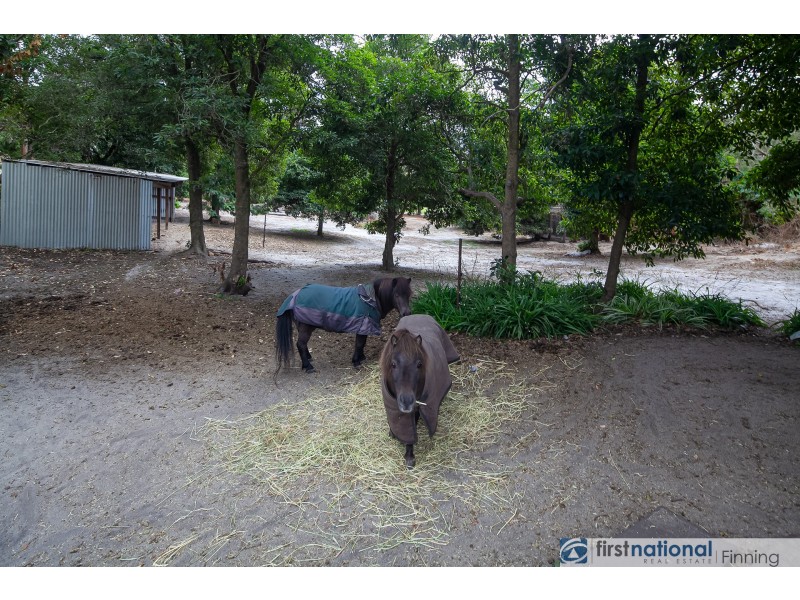 8 Stanhill Drive, Cranbourne South VIC 3977