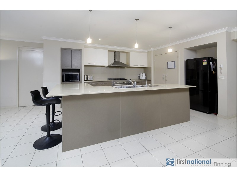 3 Pimelea Avenue, Lynbrook VIC 3975