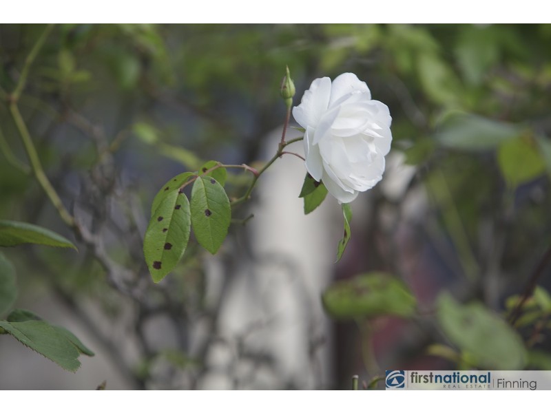 5 Prion Close, Blind Bight VIC 3980