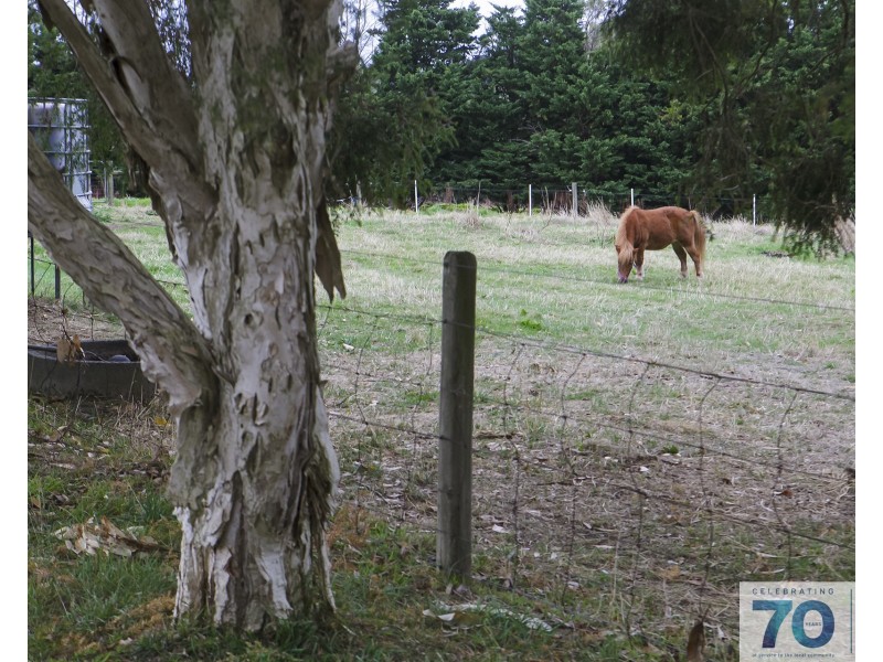 840 Mount Lyall Road, Nyora VIC 3987