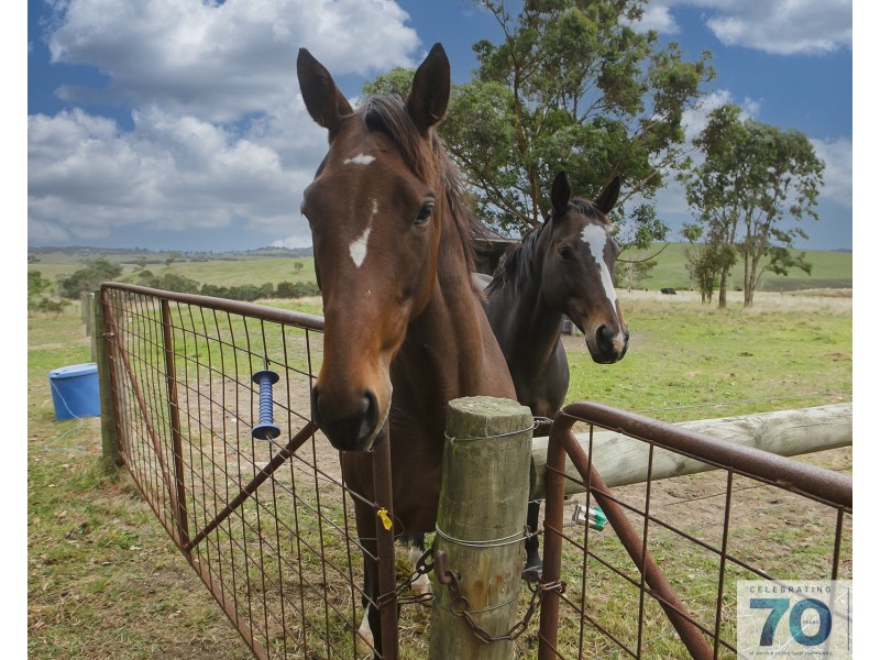 840 Mount Lyall Road, Nyora VIC 3987