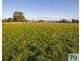 35 Arthur Ayres Road, Tooradin VIC 3980
