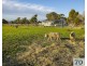 35 Arthur Ayres Road, Tooradin VIC 3980